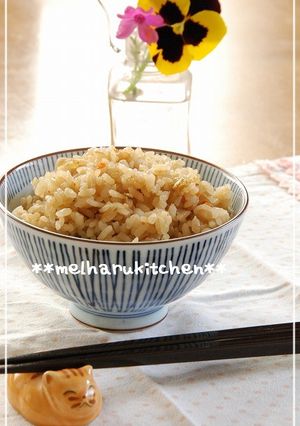 ちょぴり苦~い でもくせになる鮎飯-レシピのメイン写真