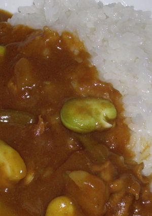 空豆カレー-レシピのメイン写真