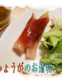 癖になる<みょうがの甘酢漬け>♪-レシピのメイン写真