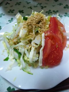 白菜ゴマサラダ-レシピのメイン写真