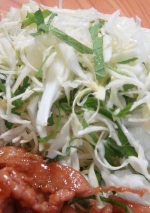 千切りキャベツに大葉♪-レシピのメイン写真