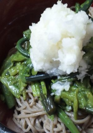 ご飯もいいけど…山菜！わらびおろし蕎麦-レシピのメイン写真