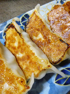 野菜た~ぷり・ホットプレートで餃子♪-レシピのメイン写真
