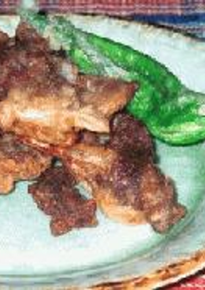 長ネギと牛肉のミニかき揚-レシピのメイン写真
