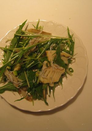 たけのことごぼうとシラスのサラダ-レシピのメイン写真