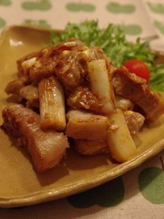 豚バラ肉とねぎのガーリックマヨ炒め-レシピのメイン写真