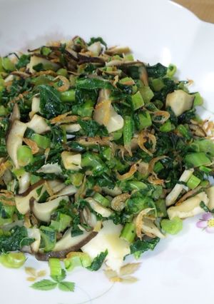 大根の葉の炒め物-レシピのメイン写真