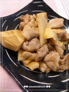 筍とやわらか鶏もも肉のピリ辛炒め~♪-レシピのメイン写真