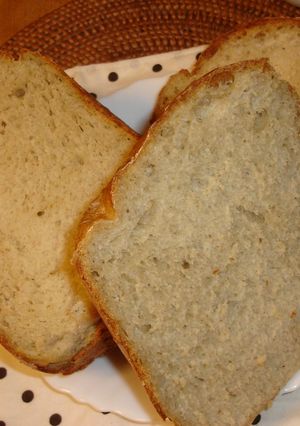 HBでふじっ子パン-レシピのメイン写真