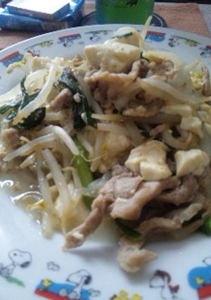 豆腐･ニラ･もやし･豚の和風炒め-レシピのメイン写真