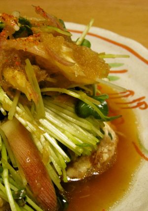 鶏と豆腐の和風ハンバーグ-レシピのメイン写真