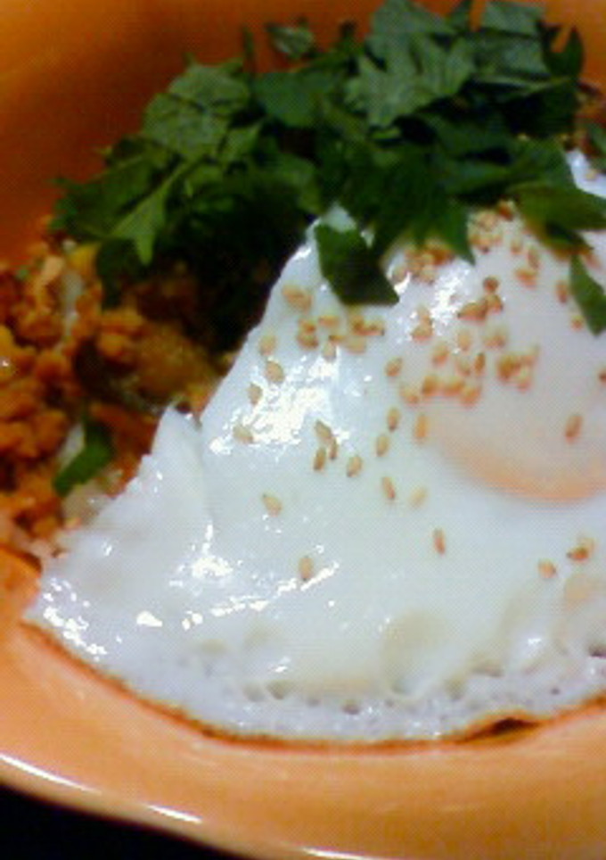 焼肉のﾀﾚで簡単そぼろ丼☆-レシピのメイン写真