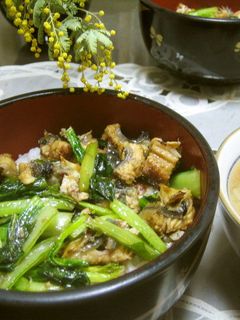 夏バテ予防に、超簡単^^うなぎと小松菜丼-レシピのメイン写真