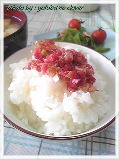 朝食のお供に☆ネギ入りウメおかか-レシピのメイン写真
