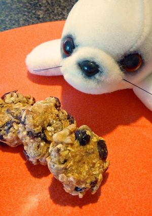 ヘルシー♪　オーツ麦クッキー-レシピのメイン写真