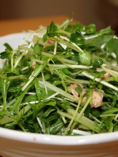 いつもの水菜サラダ-レシピのメイン写真
