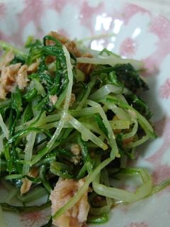 簡単!水菜とシーチキンのゴマ和え-レシピのメイン写真
