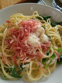 春香る★桜海老と三つ葉の濃厚チーズパスタ-レシピのメイン写真