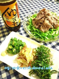 モリモリ♪薬味でたっぷり冷しゃぶサラダ-レシピのメイン写真