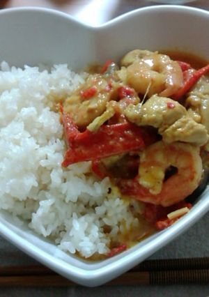 タイカレー☆イエローカレー-レシピのメイン写真