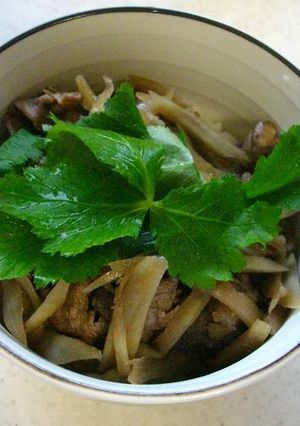 牛ごぼう丼-レシピのメイン写真