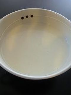 基本☆ホワイトソース-レシピのメイン写真