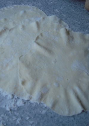 薄力粉で♪手作り美味しい餃子の皮-レシピのメイン写真