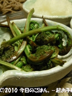こごみのおひたし-レシピのメイン写真