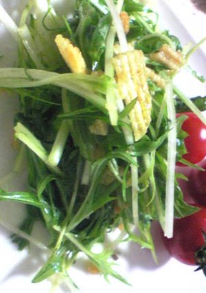 ポテトチップスで水菜のサラダ-レシピのメイン写真