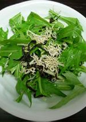 水菜と塩こんぶでサラダ-レシピのメイン写真