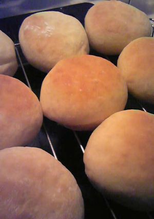 レアチーズケーキのようなパン？-レシピのメイン写真