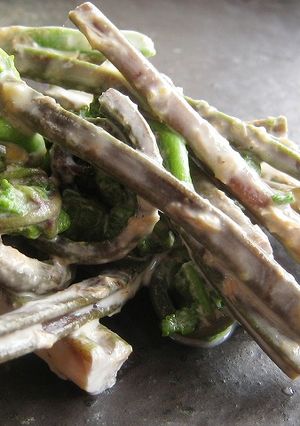 赤こごみの味噌マヨ-レシピのメイン写真