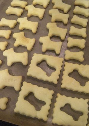 ゴートミルククッキー-レシピのメイン写真