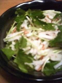大根サラダ・和taste-レシピのメイン写真