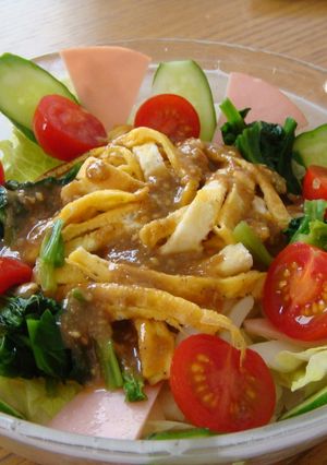 ランチに♬胡麻みそダレのサラダうどん-レシピのメイン写真