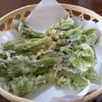 新鮮♪たらの芽とこしあぶらの天ぷら