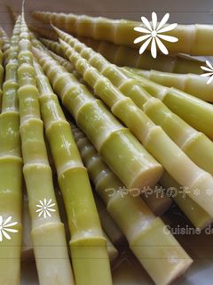 たけのこのうす煮-レシピのメイン写真