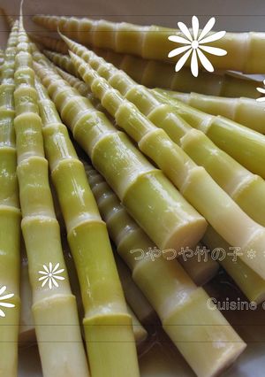 たけのこのうす煮-レシピのメイン写真