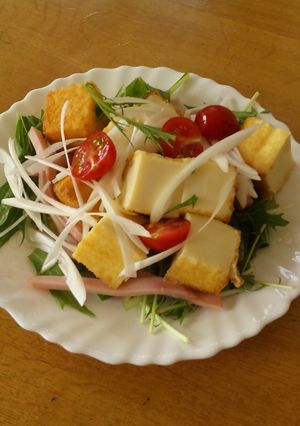 糖質カットに。厚揚げサラダ-レシピのメイン写真