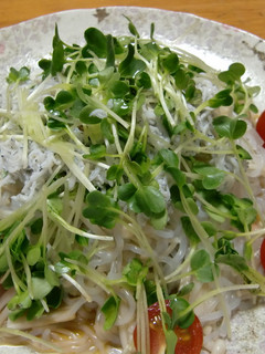 梅としらすの冷やししらたき麺♪さっぱり味-レシピのメイン写真