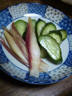 きゅうりとみょうがの甘酢漬け-レシピのメイン写真