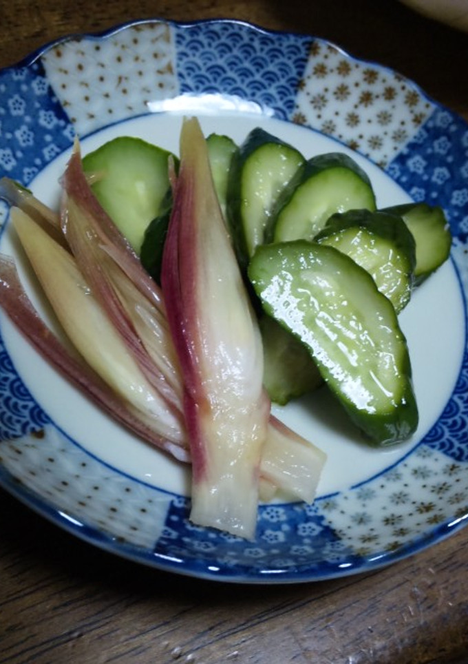 きゅうりとみょうがの甘酢漬け-レシピのメイン写真