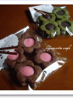 可愛い♪ お花のチョコサンドクッキー-レシピのメイン写真