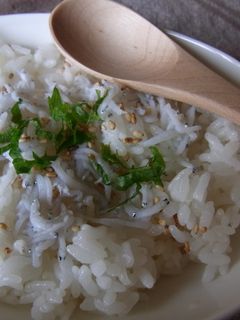 釜揚げちりめん丼-レシピのメイン写真