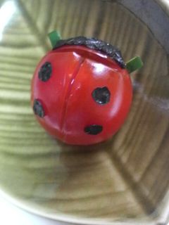 キャラ弁★てんとう虫トマト(おかず)-レシピのメイン写真