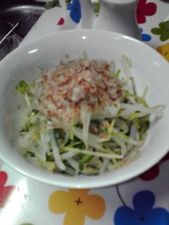 もやしと豆苗のおひたし-レシピのメイン写真