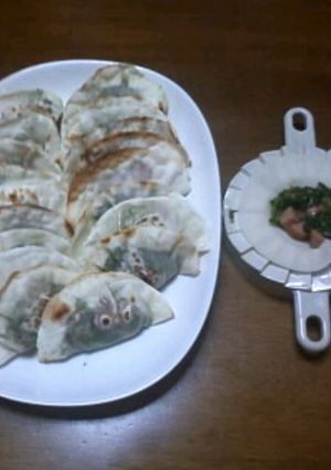 ほうれん草とウインナー入り餃子-レシピのメイン写真