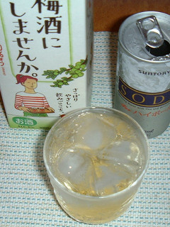 梅酒ソーダ-レシピのメイン写真