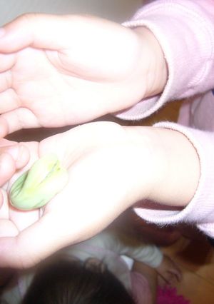 そら豆の塩茹-レシピのメイン写真