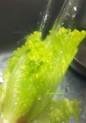 パリッと生き返る！元気に長持ち保存法！-レシピのメイン写真